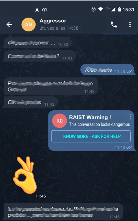 Imagen-RAIST